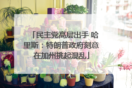 民主党高层出手 哈里斯：特朗普政府刻意在加州挑起混乱